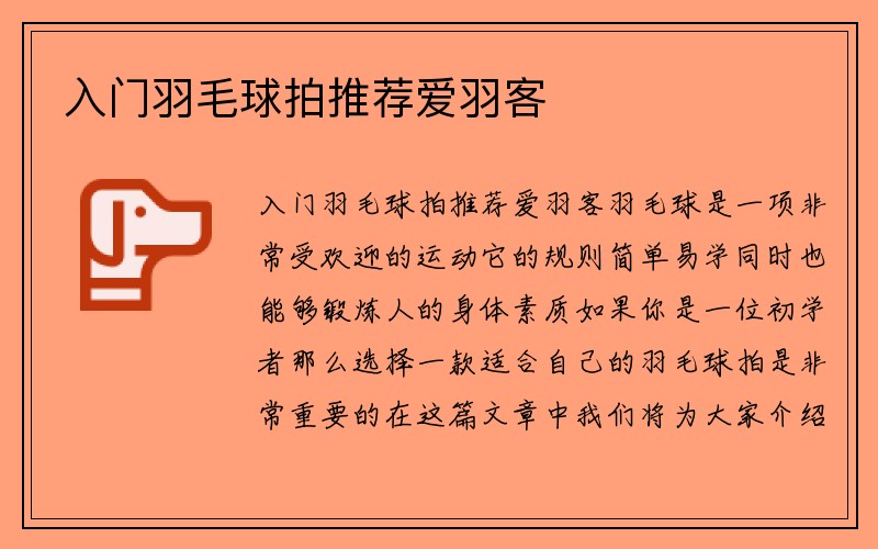 入门羽毛球拍推荐爱羽客